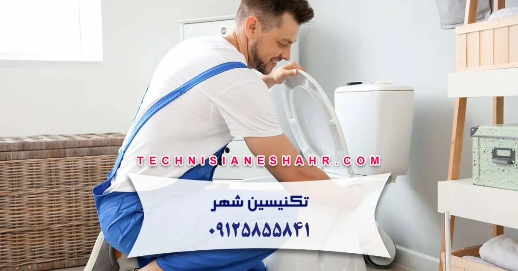 مشکلات رایج در توالت فرنگی