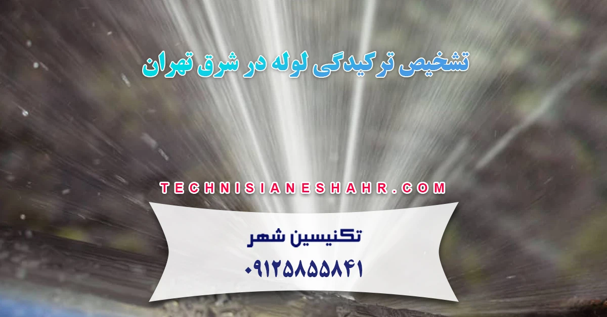 You are currently viewing تشخیص ترکیدگی لوله در شرق تهران