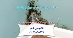 Read more about the article دلایل نم و رطوبت روی دیوار و رفع آن