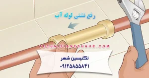 Read more about the article 