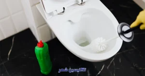 Read more about the article علت بوی توالت فرنگی: چرا بوی ناخوشایند ایجاد می‌شود و چگونه آن را رفع کنیم؟