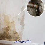 چرا دیوار بعد از تعمیر دوباره نم می‌دهد؟